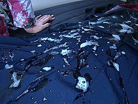 唾奴●ドール 痰唾衣服ぶっかけレズ汚辱姦 サンプル動画サムネイル